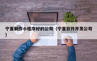 扬州宁夏制作小程序好的公司（宁夏软件开发公司）